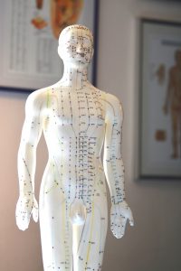Körper-Modell mit Leitbahnen und Akupunktur-Punkten
