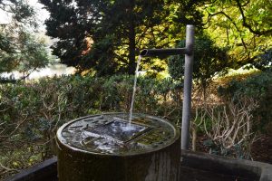 Heilpraktiker in der Nähe von Würzburg, Dettelbach und Kitzingen: TCM (traditionelle chinesische Medizin) und das Wasserelement